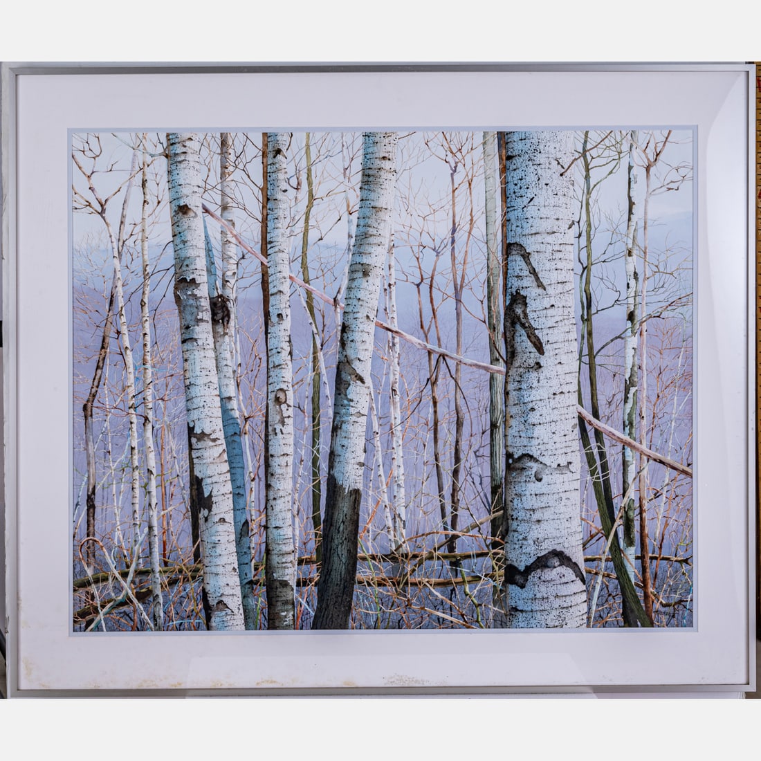 Charles Clinton Pitcher (American, 1927-2009): Charles Clinton Pitcher (American, 1927-2009) A Maple Grove, 2006, Watercolor, Signed and dated 06 lower right. Framed dimensions: H: 40 x W: 47 1/4 in. H: 31 1/2 W: 39 in.