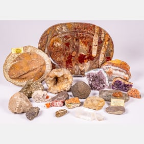 Assorted Fossil and Mineral Specimens