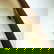 item-204977186=8