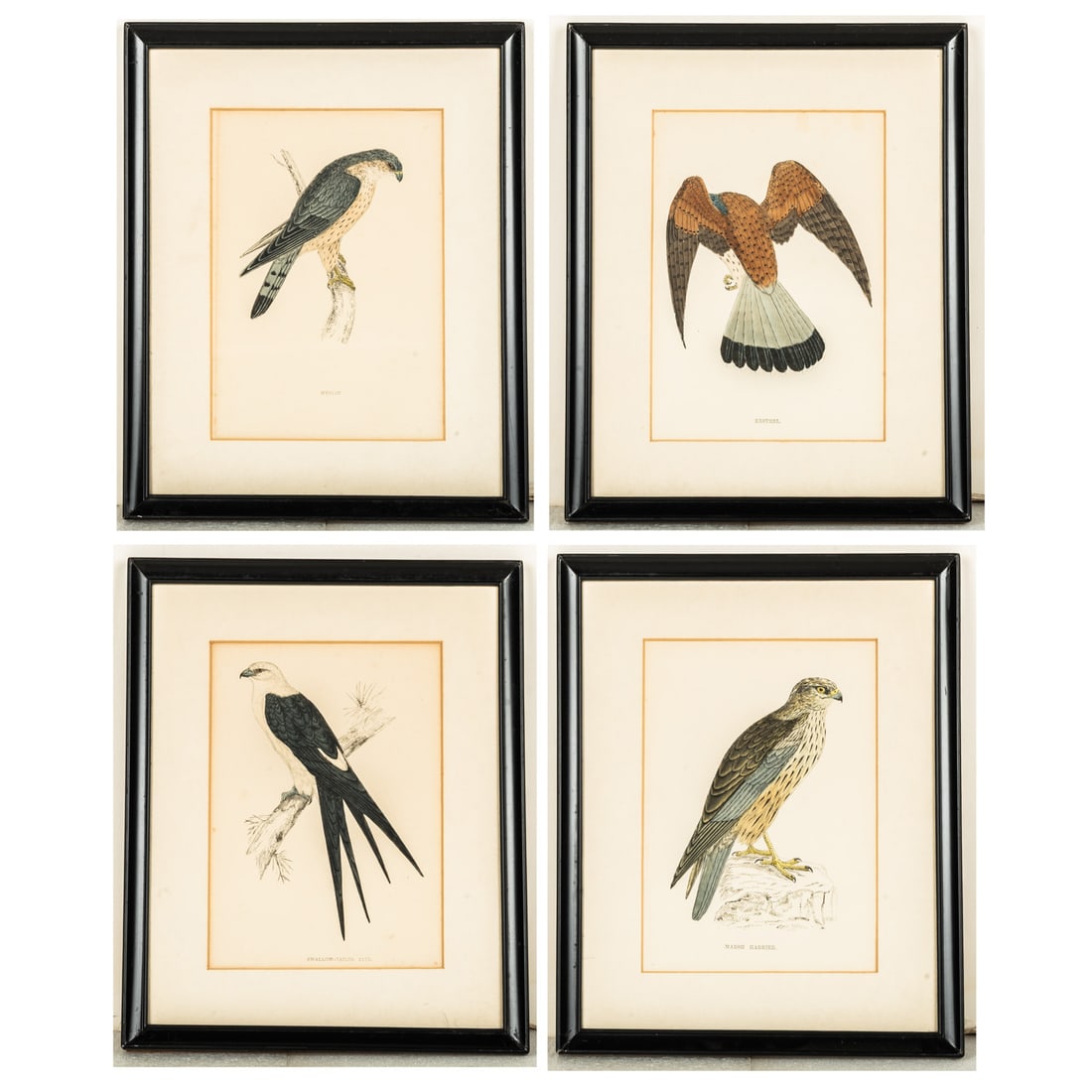 Francis Orpen Morris (British, 1810 - 1893) (1 of 12)