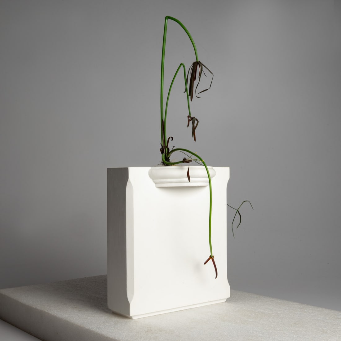 Vincent Shine (American, b. 1962) (1 of 10)