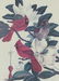 A Miscellaneous Collection of Framed Decorative Items b - 10