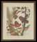 A Miscellaneous Collection of Framed Decorative Items b - 5