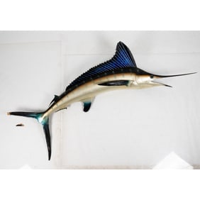 A Marlin Taxidermy Fish Trophy