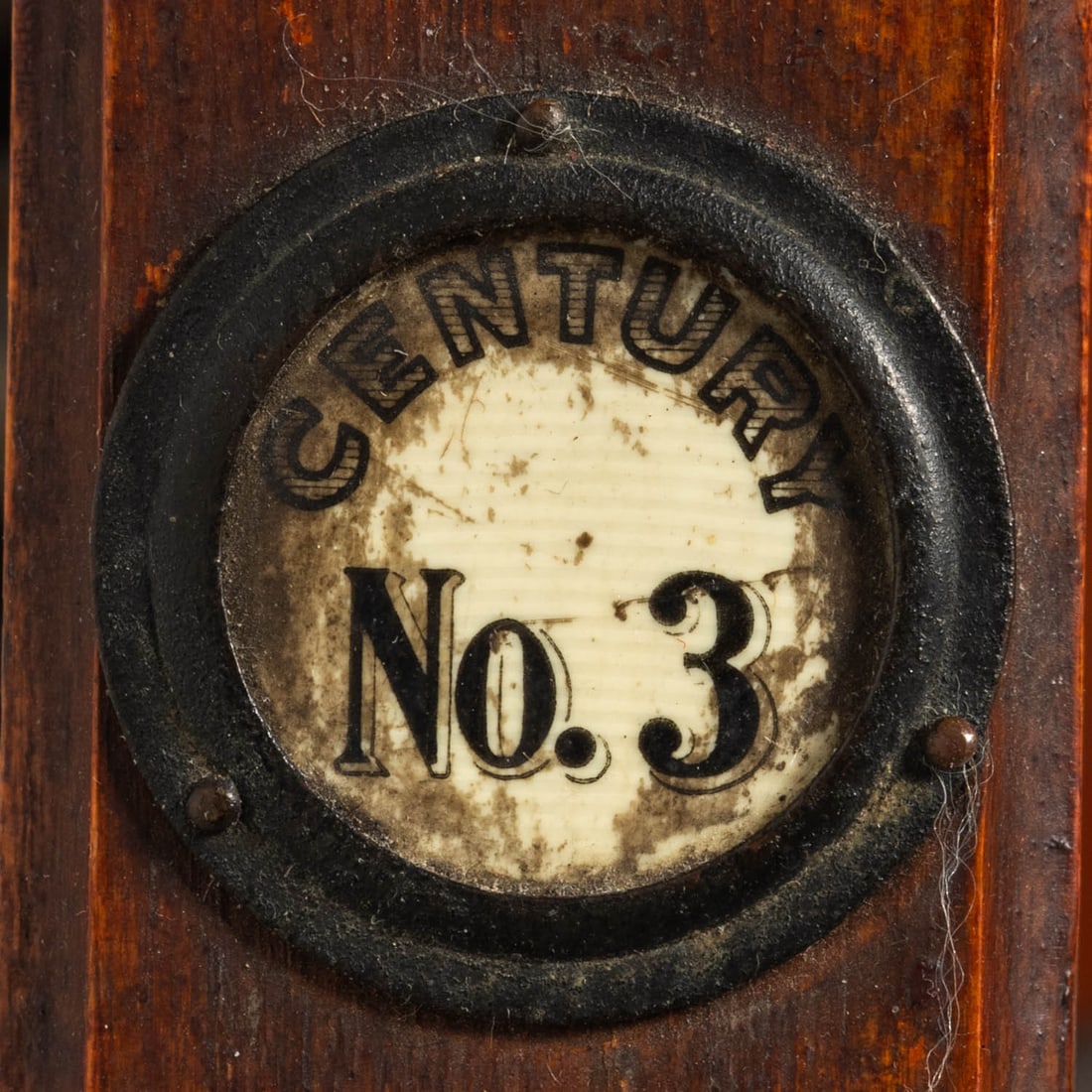 Antique large Format Camera on Stand - 3