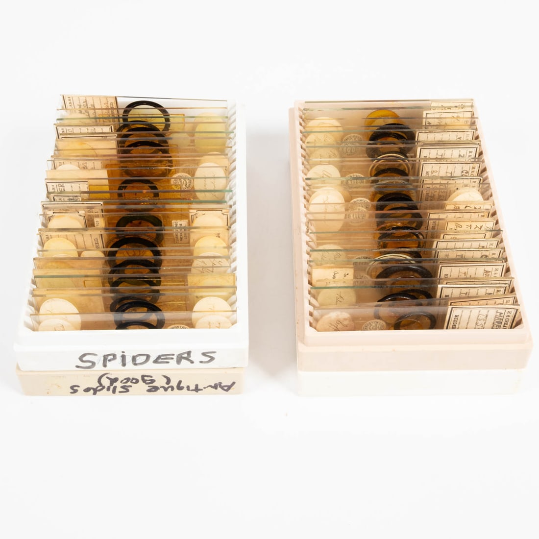 Microscope thin sections and cases. - 3