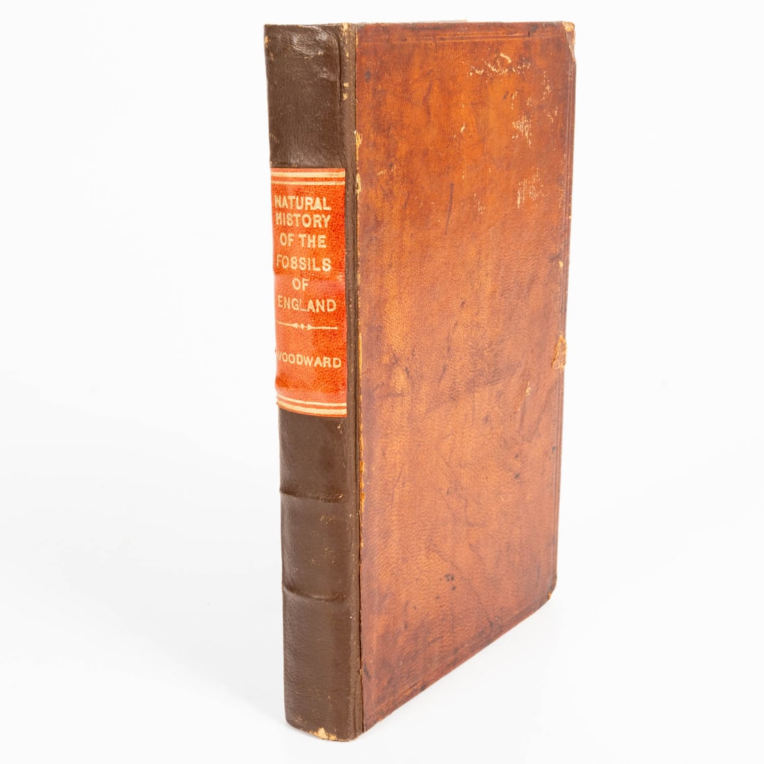 WOODWARD, John. An Attempt Towards a Natural History of the Fossils of England. (1 of 6)