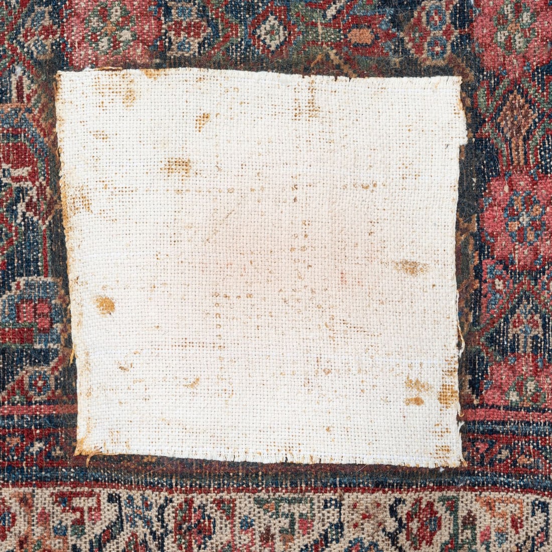 Bijar Wool Runner - 8