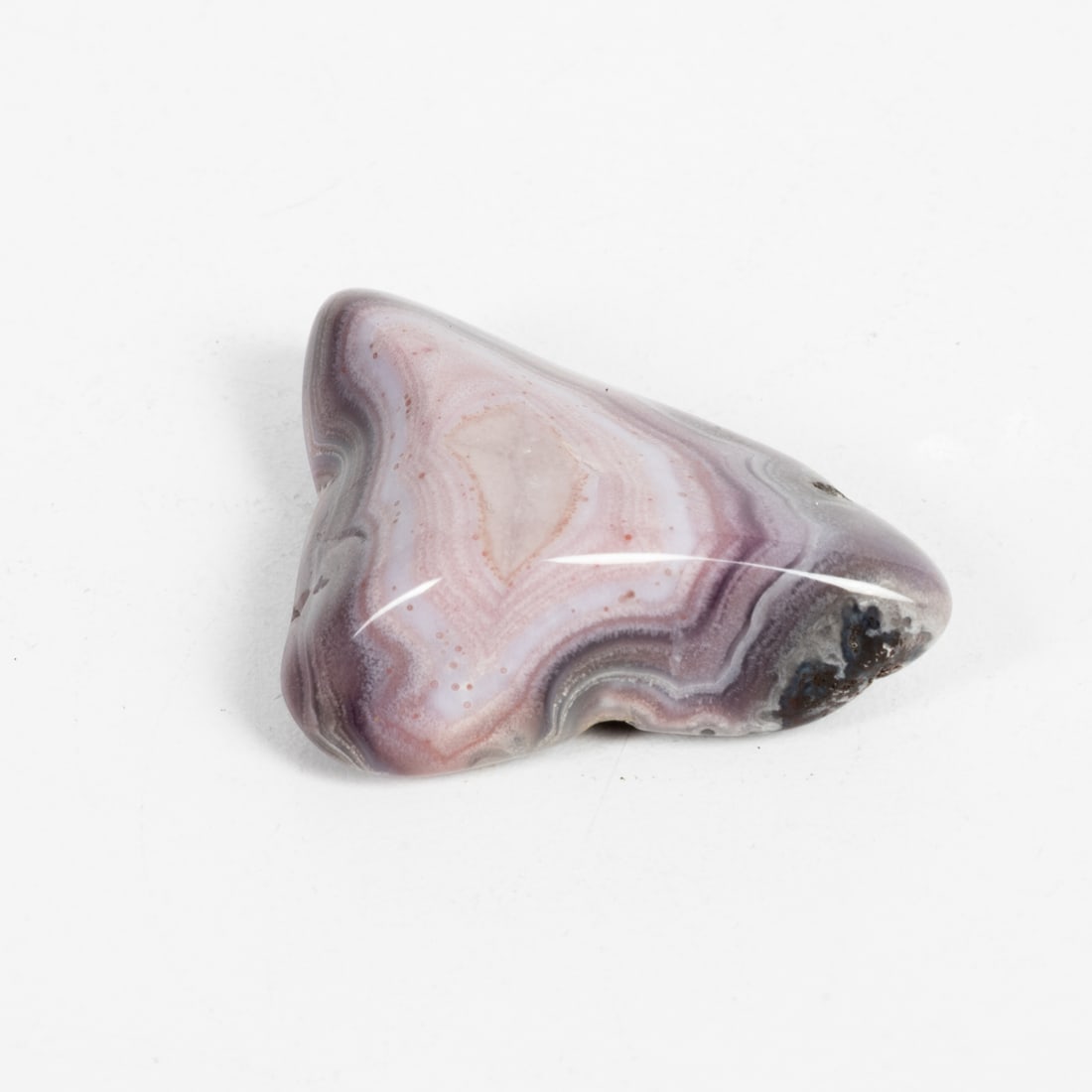 A Polished Black Abalone Shell - 5