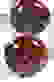 item-24874382=6