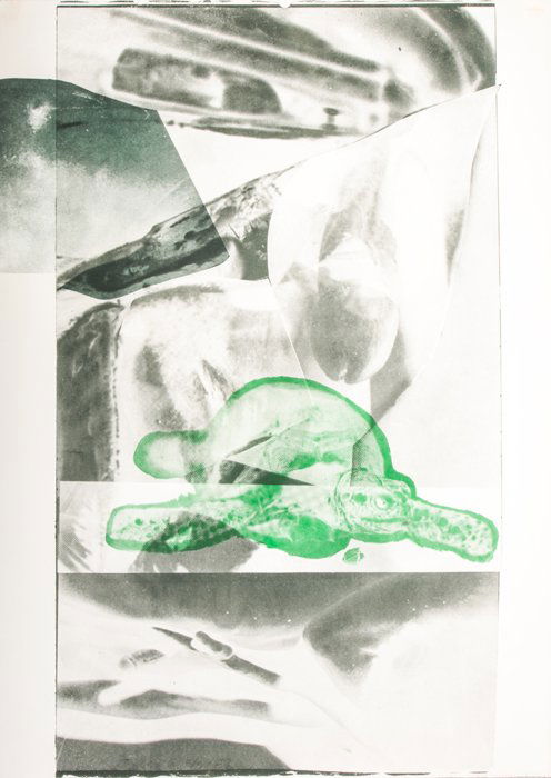Robert Rauschenberg (1925-2008) Gulf, 1969, Lithograph (1 of 6)