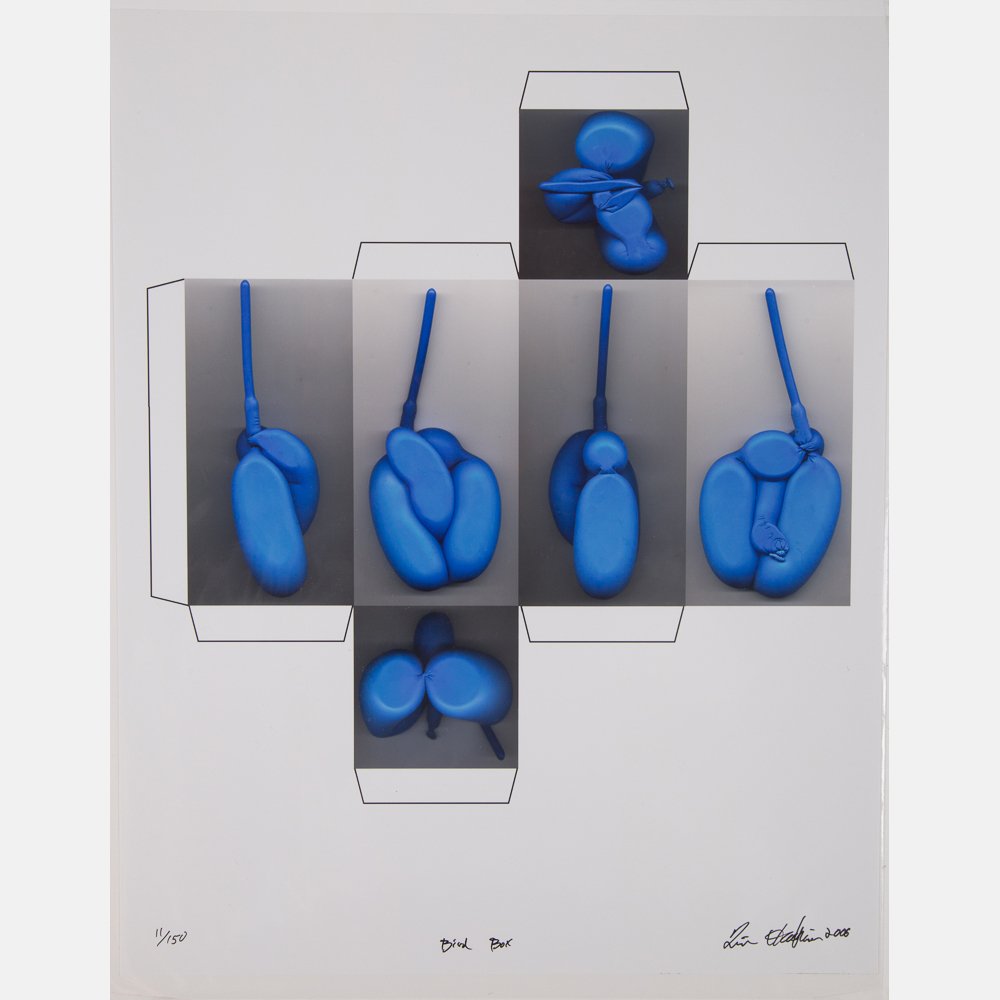 Tim Hawkinson (b. 1960) Bird Box, 2006, Lightjet (1 of 3)