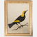 A Miscellaneous Collection of Framed Watercolors and - 3