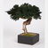 A Miscellaneous Collection of Asian Decorative Items, - 7