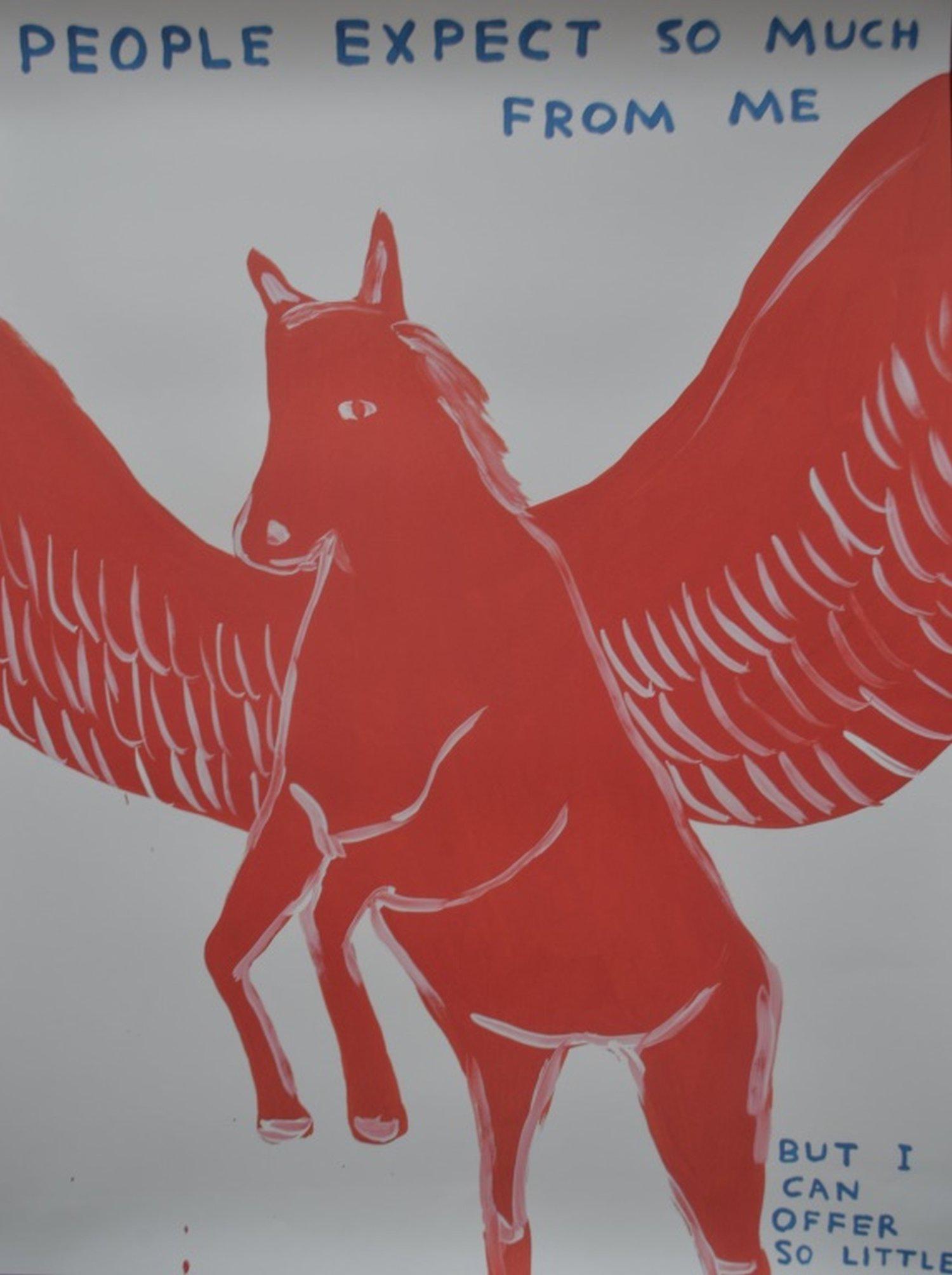 David Shrigley "People Expect So Much" Litho: Exciting and vivid art from hot selling David Shrigley People Expect So Much From Me? (2021) Size, 80 x 60 cm Size, 80 x 60 cm. 23 1/2 x 31 1/4 inches. This is not the poster but an excellent lithogra