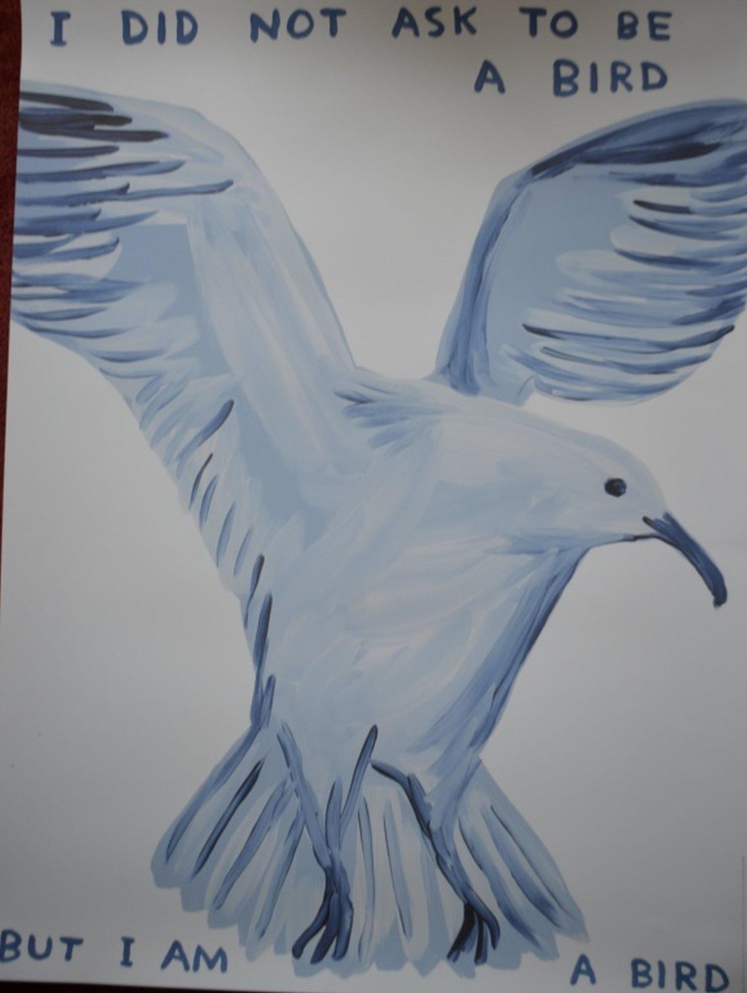 David Shrigley "I Did Not Ask to Be Bird": Exciting and vivid art from hot selling David Shrigley Title: I Did Not Ask To Be a Bird? (2021) Size, 80 x 60 cm 23 1/2 x 31 1/4 inches. This is not the poster but an excellent lithograph Printed on