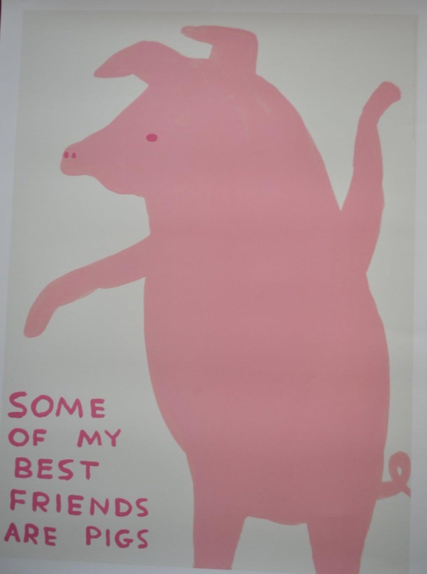 David Shrigley "Some of My Best Friends" Litho: Exciting and fun art from hot selling David Shrigley. Title: Some of My Best Friends are Pigs. Year, 2016. Size, 80 x 60 cm. 23 1/2 x 31 1/4 inches. This is not the poster but an excellent lithograph