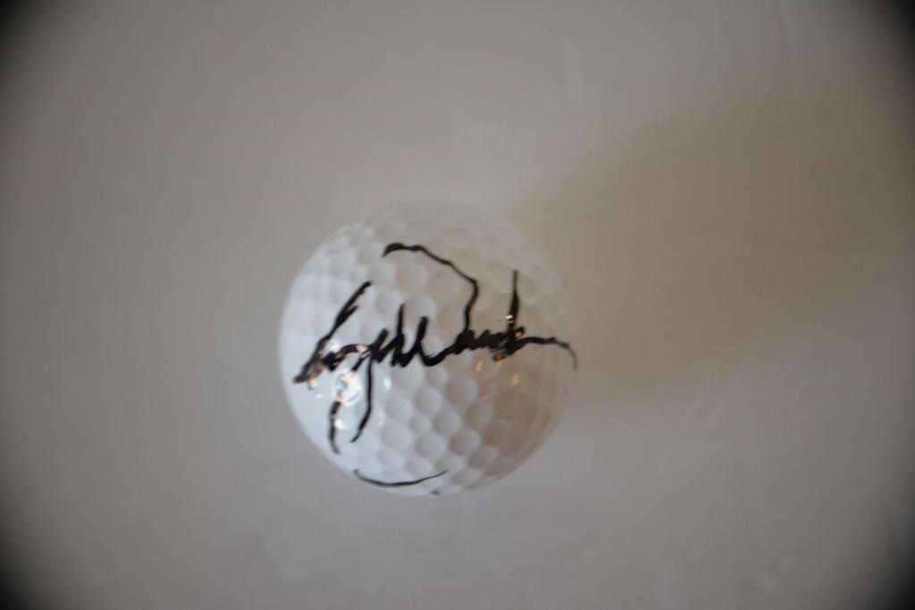 Signed Tiger Woods Golf Ball: Signed Tiger Woods Golf Ball! In great condition!