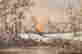 item-120661572=2