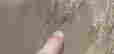 item-120661572=8