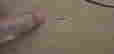 item-120661572=9