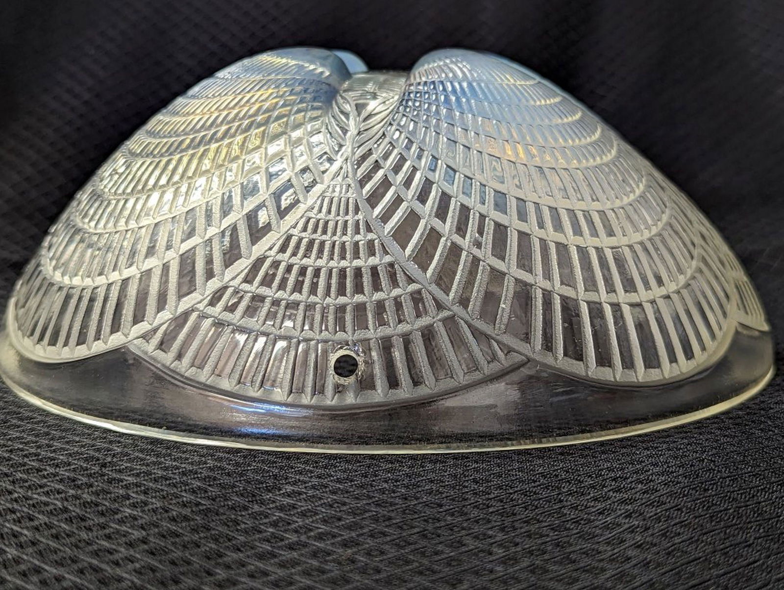 Rene Lalique Coquille Plafonnieer Glass Shade #3 (1 of 12)