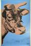 Andy Warhol "Cow" 1971, Lithograph, 48 x 31