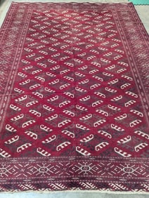 Turkaman Hand Woven Rug 8.1 x 10.9 ft