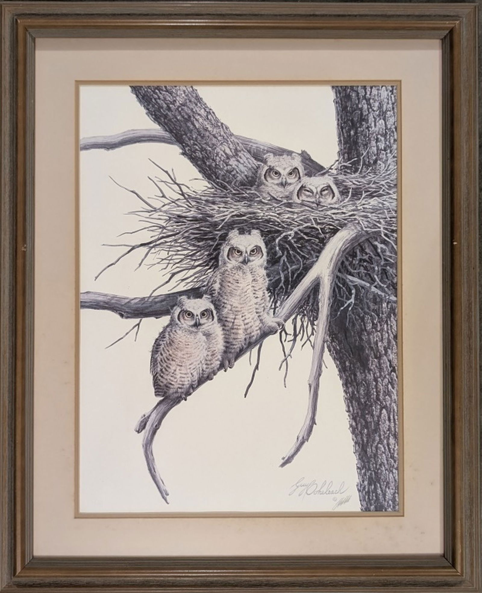 Guy Coheleach "Young Great Horned Owls" Signed: Beautiful and wild limited edition print by American artist Guy Coheleach. Medium: Lithograph on paper. Size: 24 x 18 in. Frame: 33 x 27 in. Signature: Hand signed by the artist. Condition: Very good.