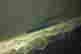 item-16718566=3