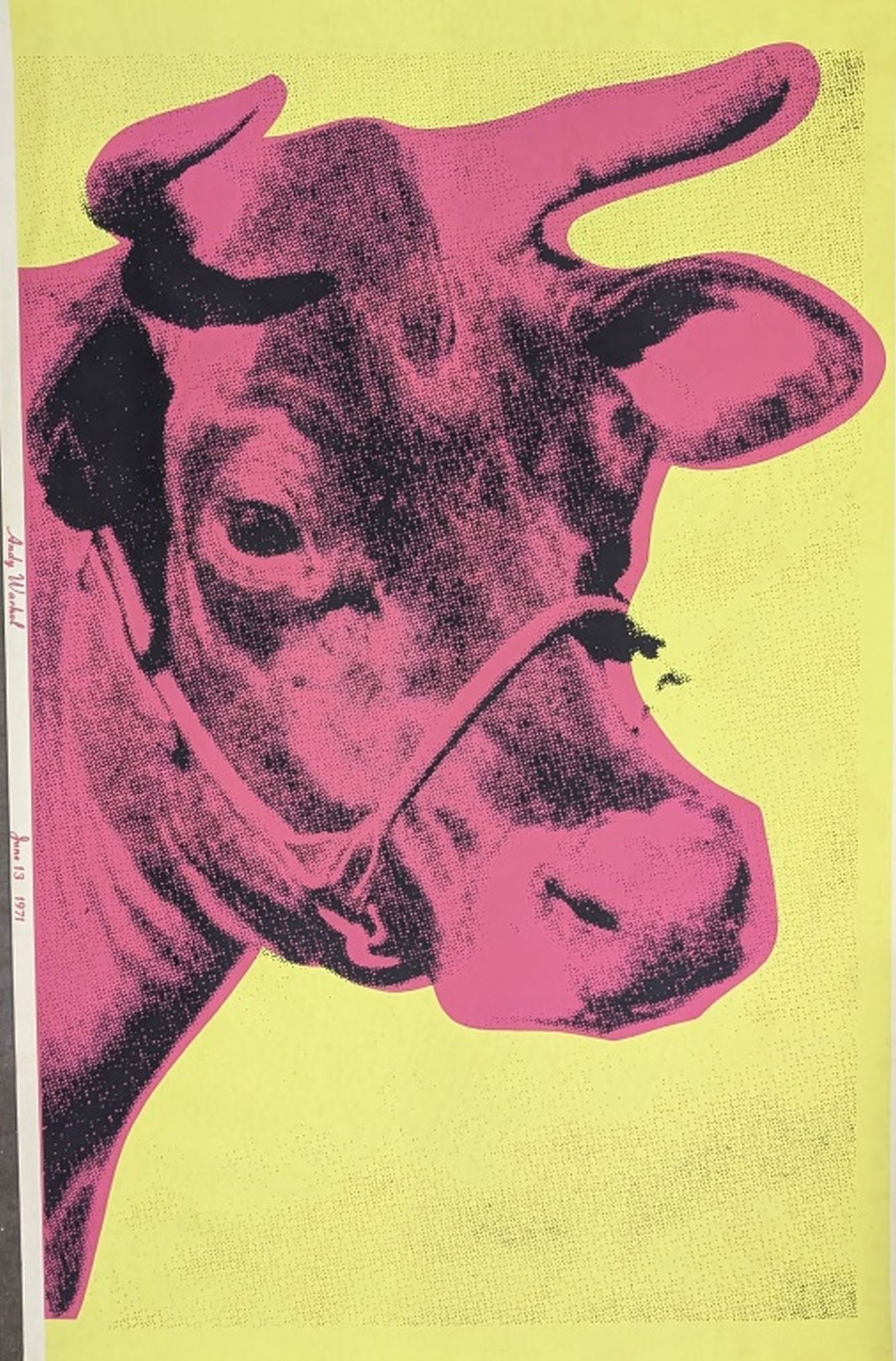 Andy Warhol "Cow" 1971, 45 x 29": Super large and rare Andy Warhol Cow from the Whitney Museum Exhibition in 1971. Andy Warhol Cow in colors Wallpaper. 45.25 x 29.75 inches. Condition: Light toning to borders. Please be sure and view