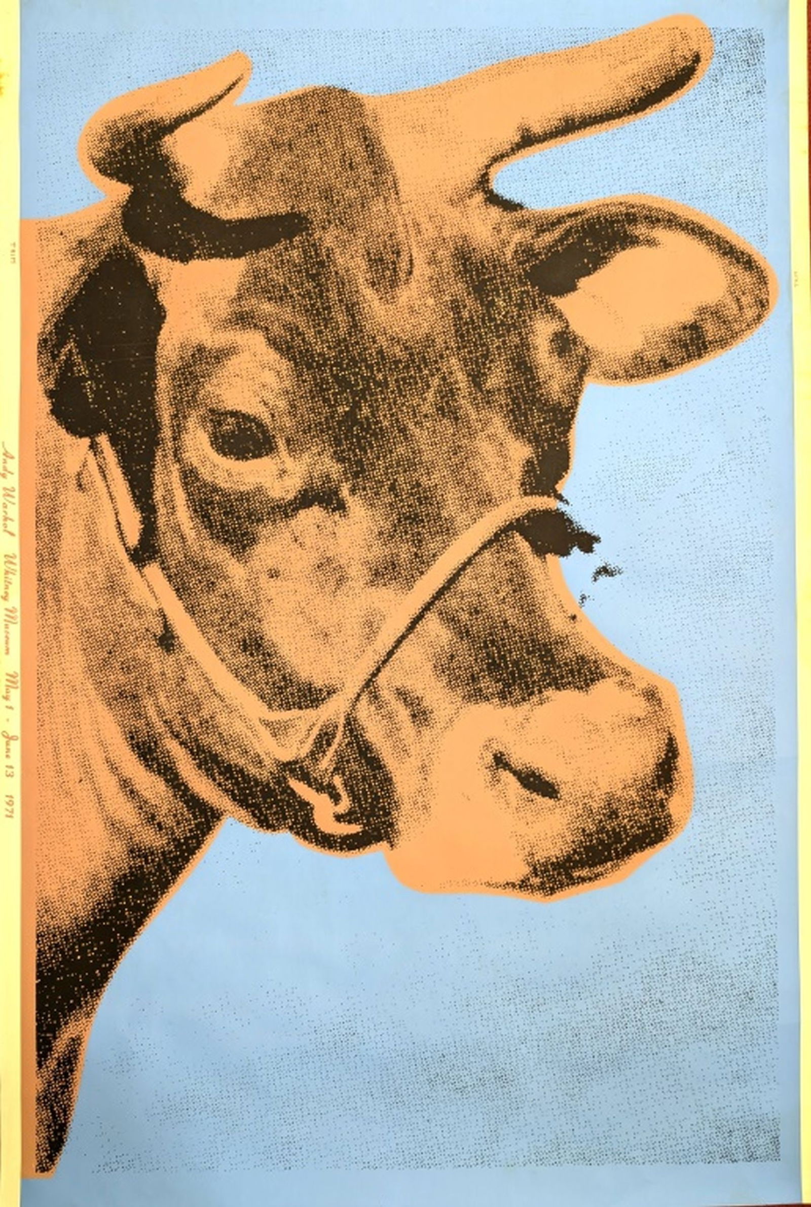 Andy Warhol "Cow" Whitney Museum, 1971 (1 of 10)
