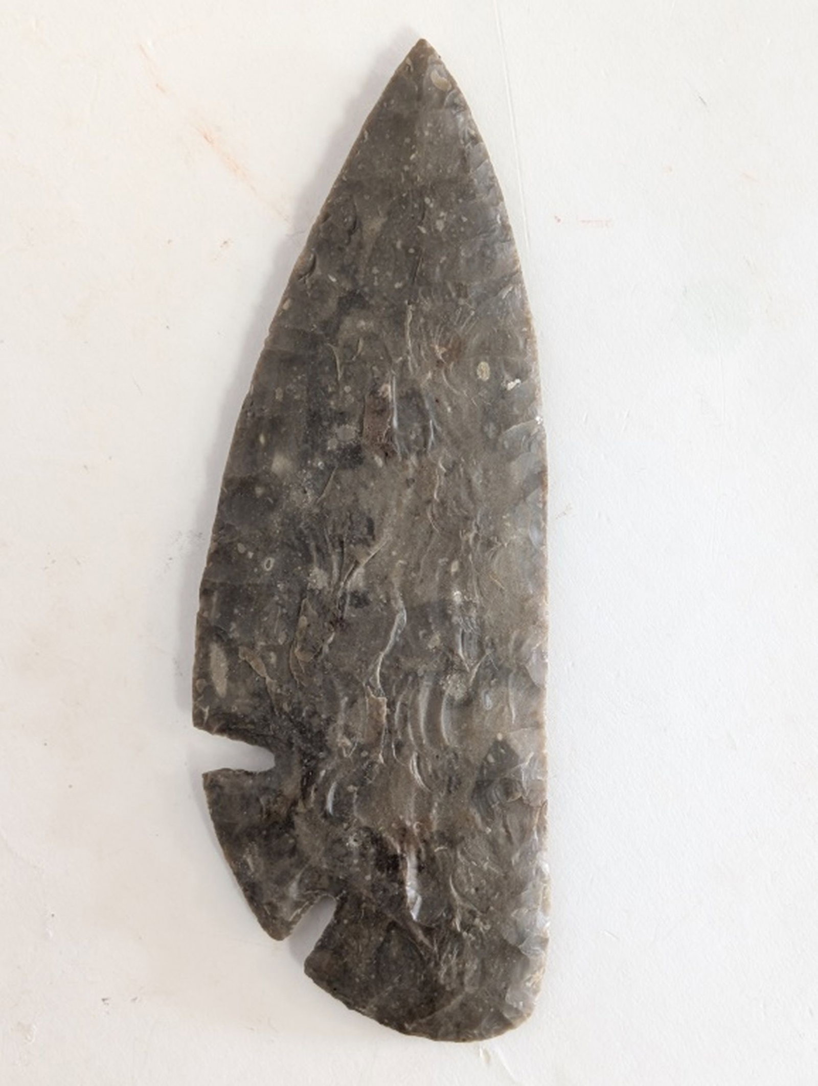 Agate Basin Projectile (1 of 8)