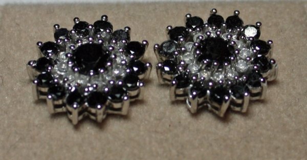 1.00 Carat Total Wgt Black & White Diamond Earring: 10k White Gold - Appraised Value $3,950.00 - Includes Appraisal (JC0173
