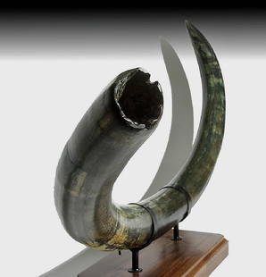 Huge Blue Mammoth Tusk from Alaska - Over Six Feet Long: North America, Alaska, Pleistocene epoch (Ice Age), ca. 35,000 years ago. An absolutely stunning, complete, and enormous mammoth tusk with wonderful dark blue-green coloring. Comes with custom stand.