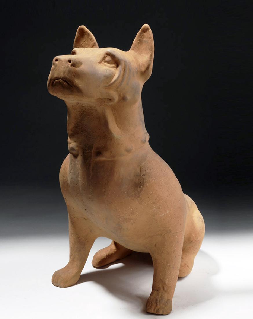 Large Chinese Han Dynasty Pottery Dog (1 of 8)