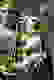 item-51530307=7