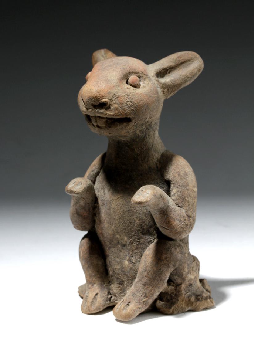 Rare/Delightful Veracruz Pottery Figure - Seated Rabbit (1 of 7)