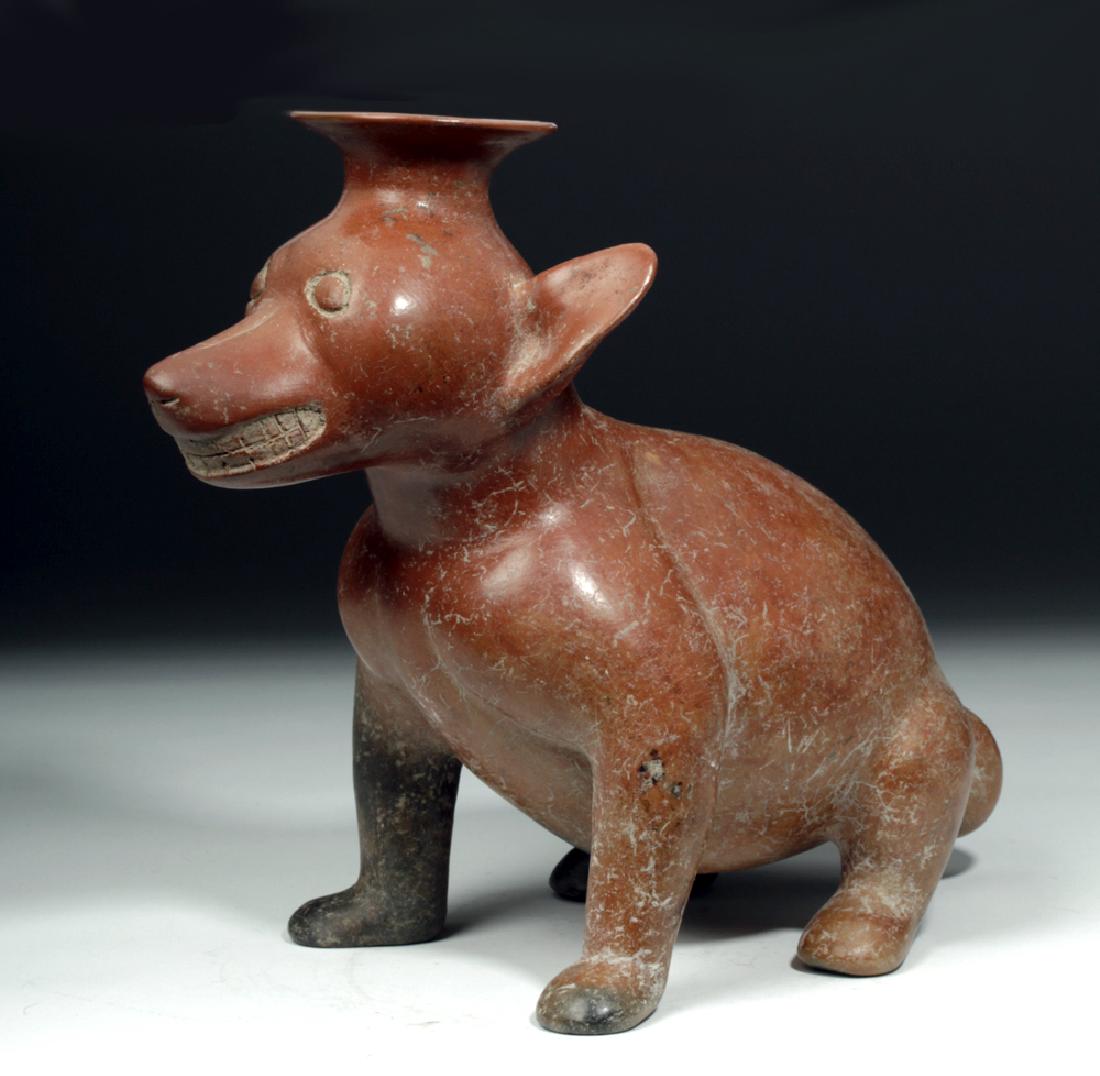 Fine / Large Colima Redware Seated Dog Effigy (1 of 6)