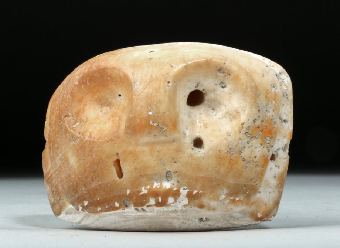 Rare Valdivian Clam Shell Owl Pendant: Pre-Columbian, Ecuador, Valdivian culture, ca. 4000 to 2000 BCE. A huge pendant, hand-carved from shell, with a zoomorphic face on one side. The shell is a creamy grey color on its uncarved side, and
