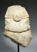 17th C Indian Marble Avalokitesvara Bodhisattva - 7
