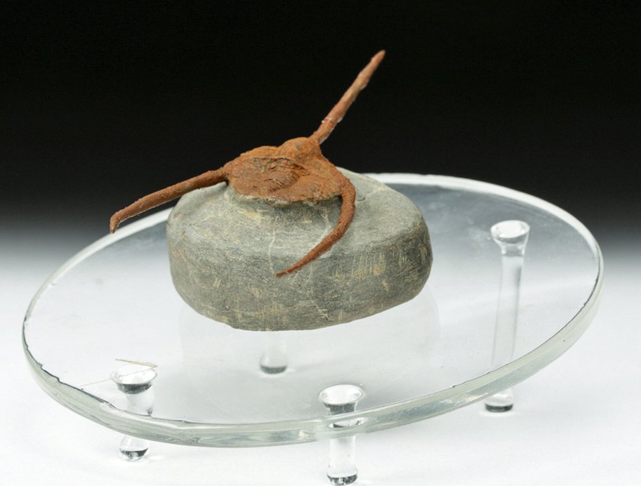 Rare Fully Exposed Fossilized Trilobite w/ Spines (1 of 5)