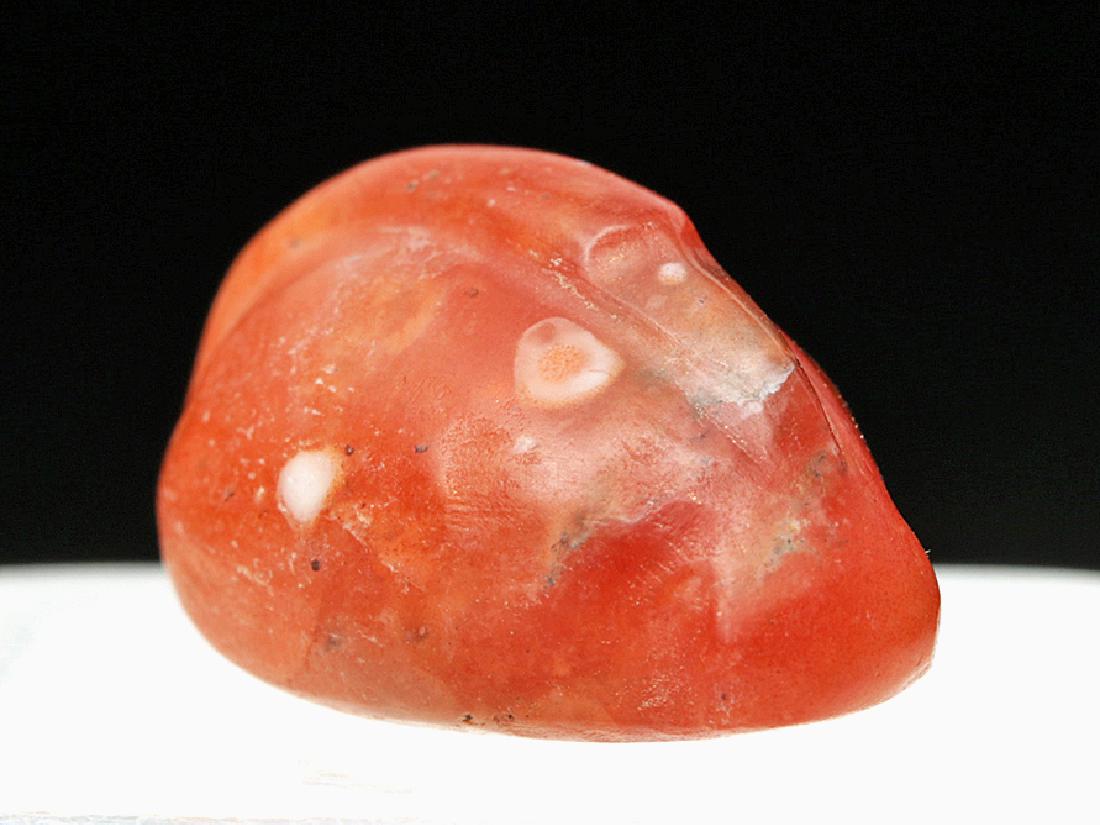 Rare Babylonian Carnelian Duck Weight: Ancient Near East, Late Babylonian, ca. 800 BCE. A smooth, red carnelian stone weight in the form of a seated duck with a long neck turned and folded over its back. Duck weights were used to check the