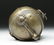 19th C. Indian Bronze Head of Gauri - 7