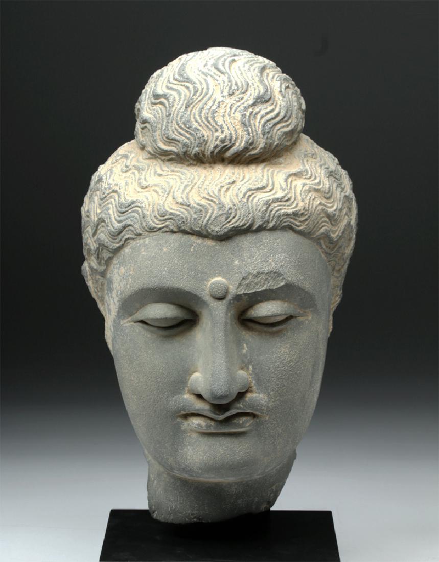 Lifesize+ Gandharan Grey Schist Head of Buddha