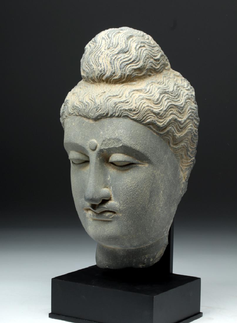 Lifesize+ Gandharan Grey Schist Head of Buddha - 2