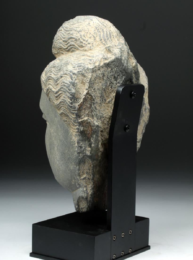 Lifesize+ Gandharan Grey Schist Head of Buddha - 3