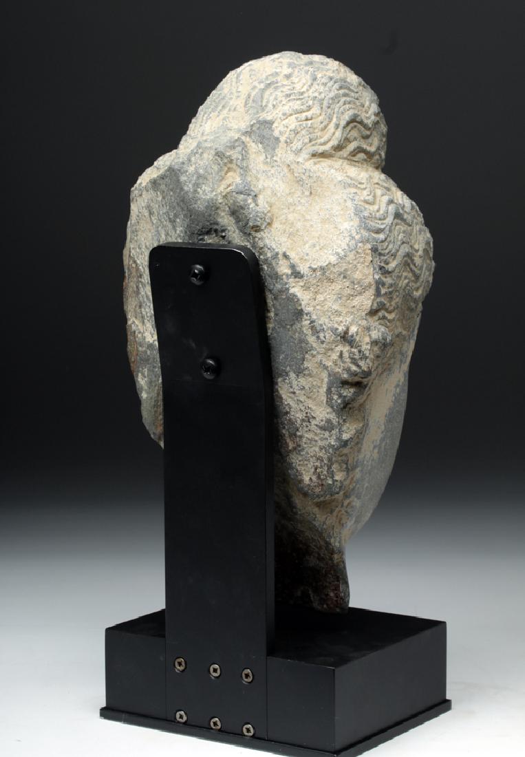 Lifesize+ Gandharan Grey Schist Head of Buddha - 4