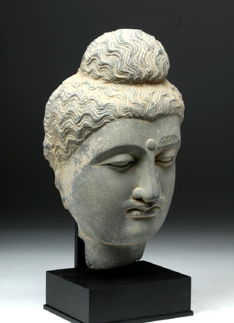Lifesize+ Gandharan Grey Schist Head of Buddha - 5