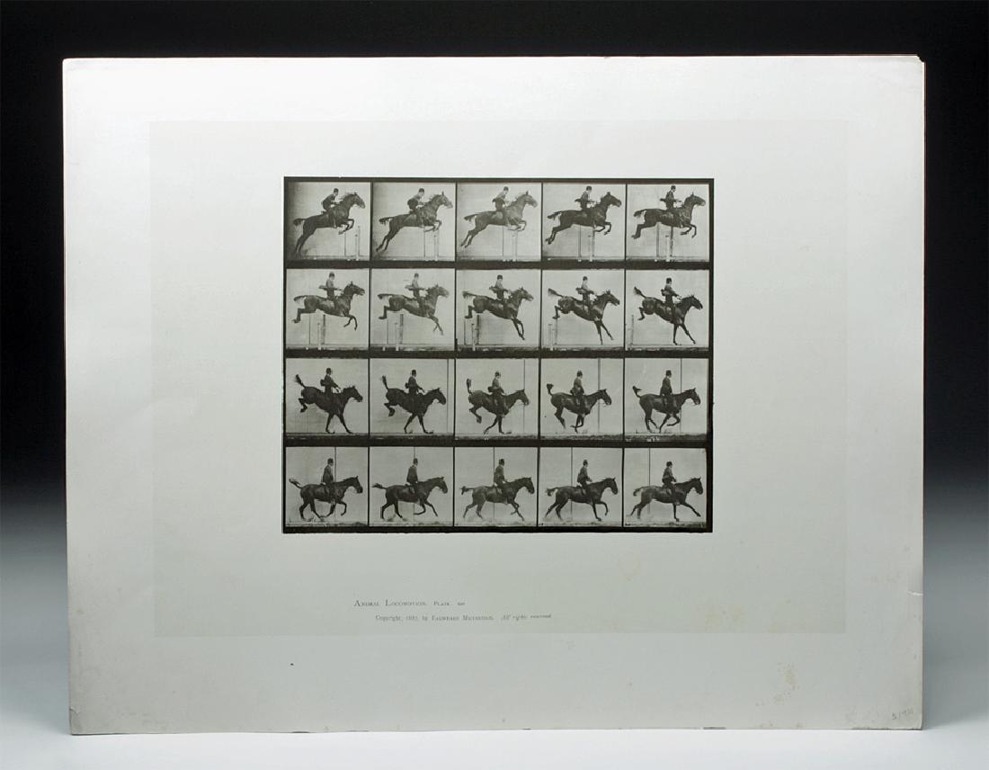 1887 Muybridge Collotype, "Jumping a Hurdle" (1 of 5)